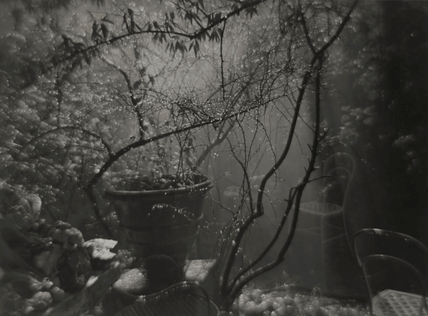Josef Sudek. 'A Summer Shower in the Magic Garden' 1954-59