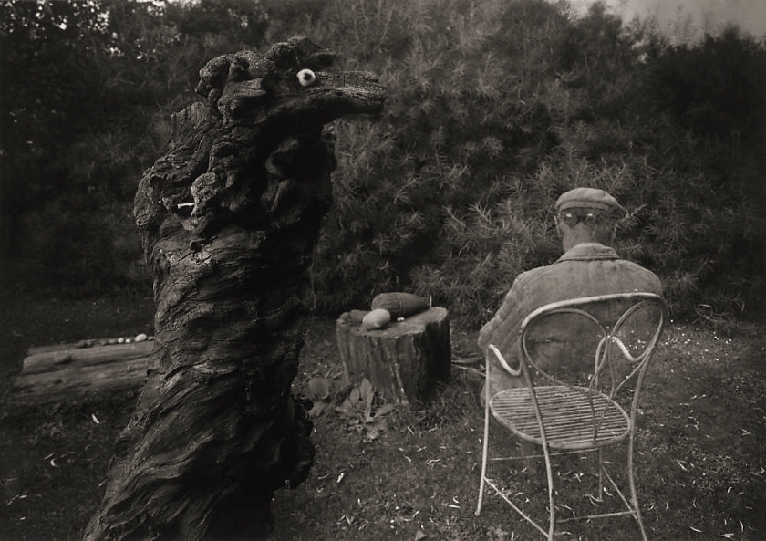 Josef Sudek. 'Remembrance of Mr. Magician (the garden of architect Rothmayer)' 1959