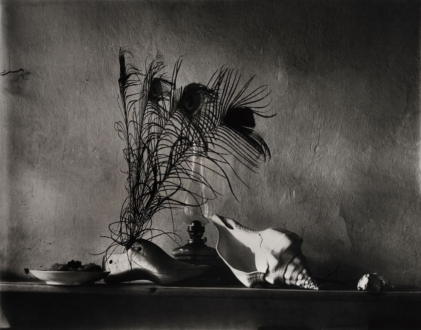 Josef Sudek. 'Still-life after Caravaggio, Variation No 2 (or a night-time Variation)' 1956