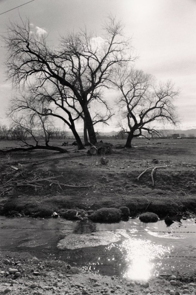 Robert Adams. 'Untitled' from the series 'Listening to the River' 1985-87