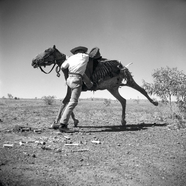 Sidney Nolan (Australian, 1917-1992) 'Untitled (Brian the stockman mounting dead horse)' 1952