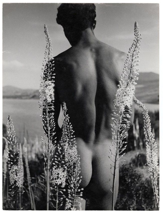 Herbert List. 'Young Arab with foxtail lilies, Hammamet, Tunisia' 1935