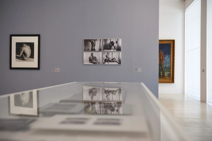 'The Naked Man', exhibition views