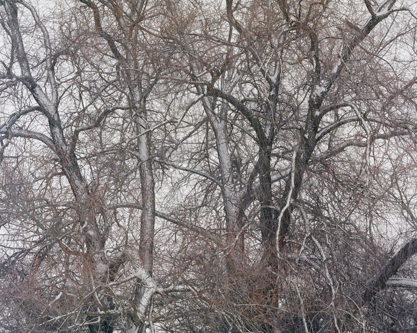 Johsel Namkung. 'Steptoe Butte, Washington January, 1989' 1989
