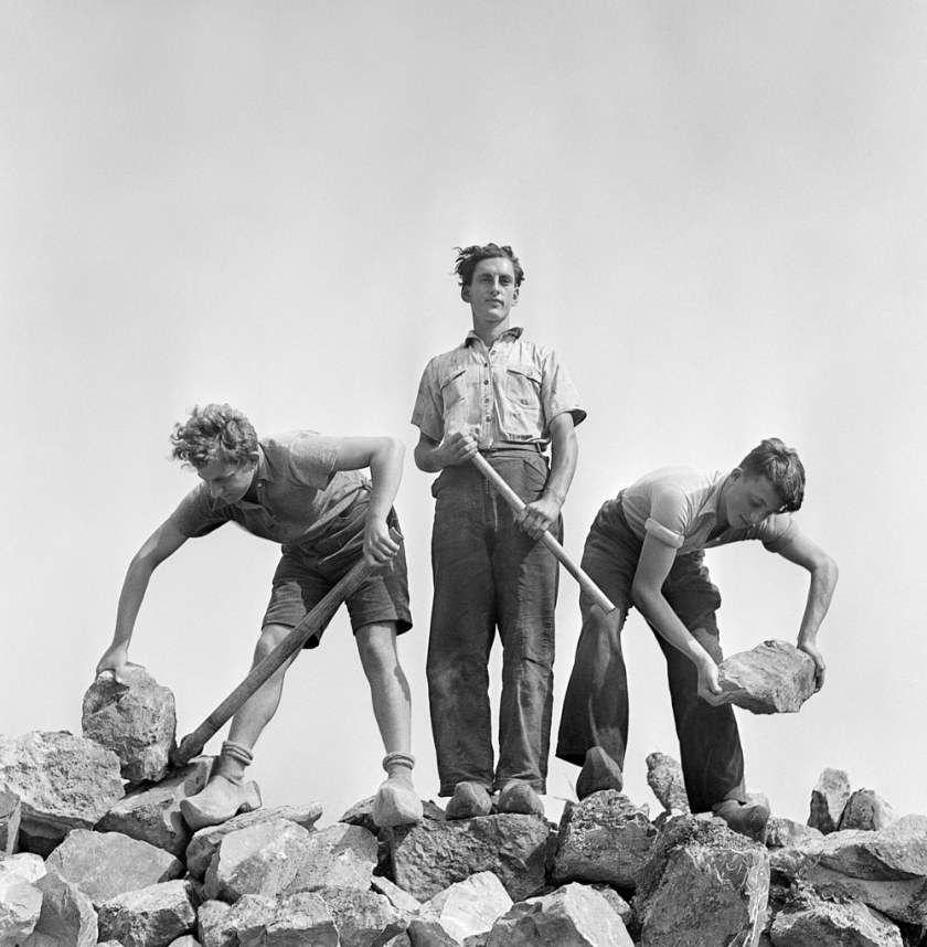 Roman Vishniac. '[Ernst Kaufmann, center, and unidentified Zionist youth, wearing clogs while learning construction techniques in a quarry, Werkdorp Nieuwesluis, Wieringermeer, The Netherlands]' 1939