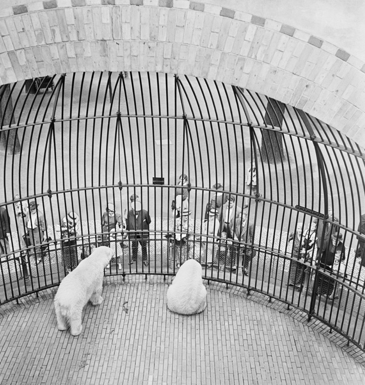 Roman Vishniac. 'People behind bars, Berlin Zoo' Early 1930s (printed 2012)