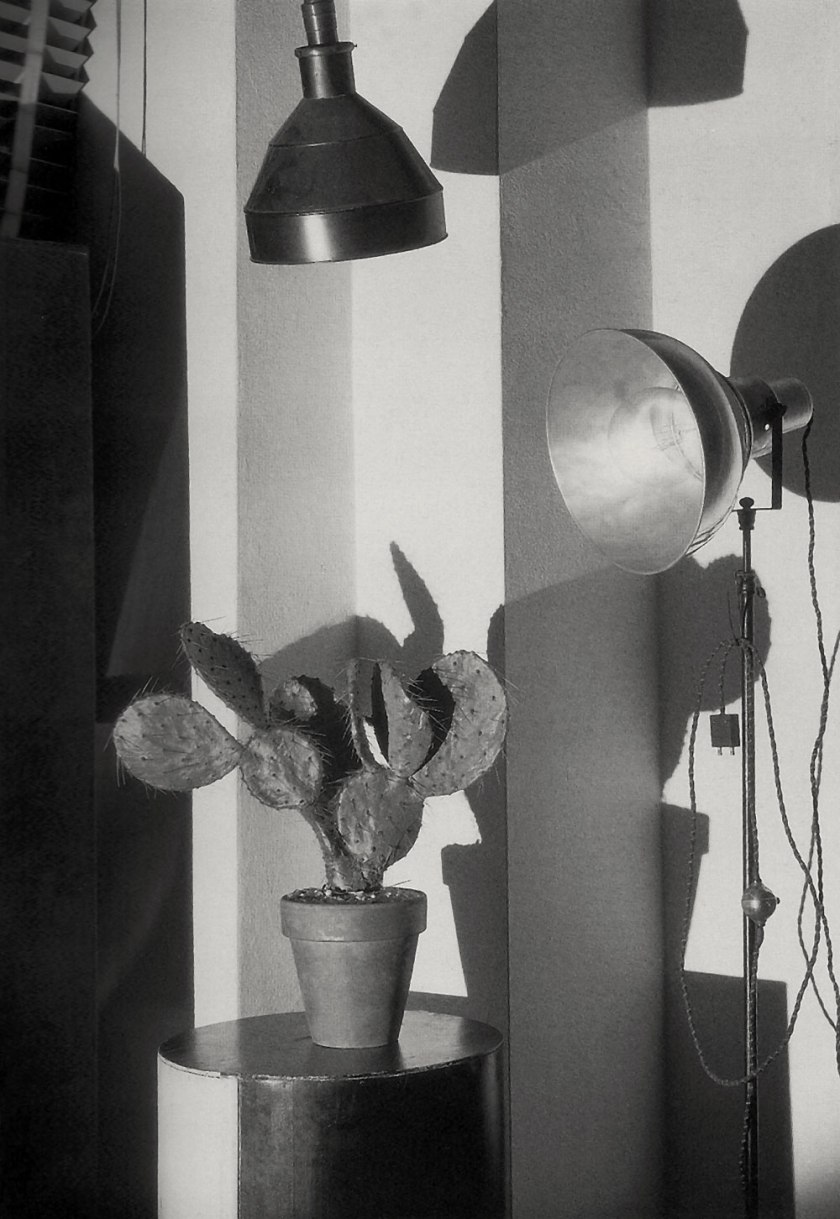 Charles Sheeler (American, 1883-1965) 'Cactus and Photographer's Lamp, New York' 1931