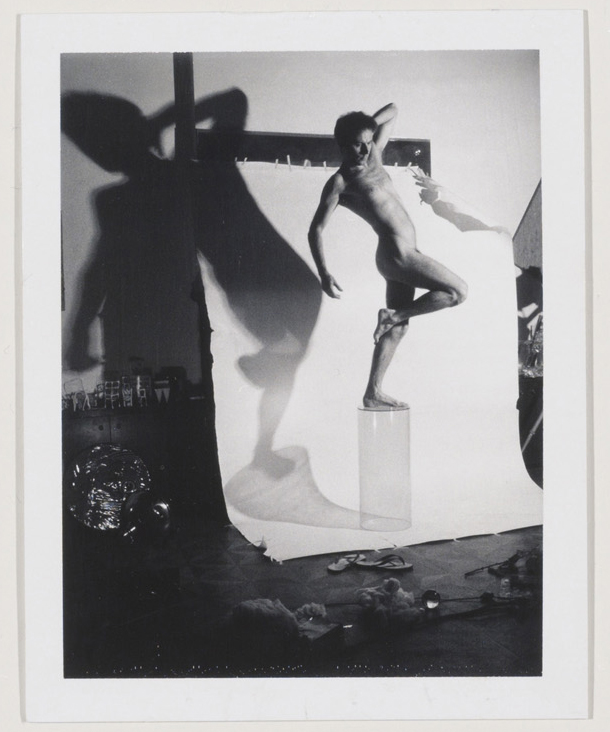Lucas Samaras (American, born Greece 1936) 'Auto Polaroid' 1969-71 (detail)