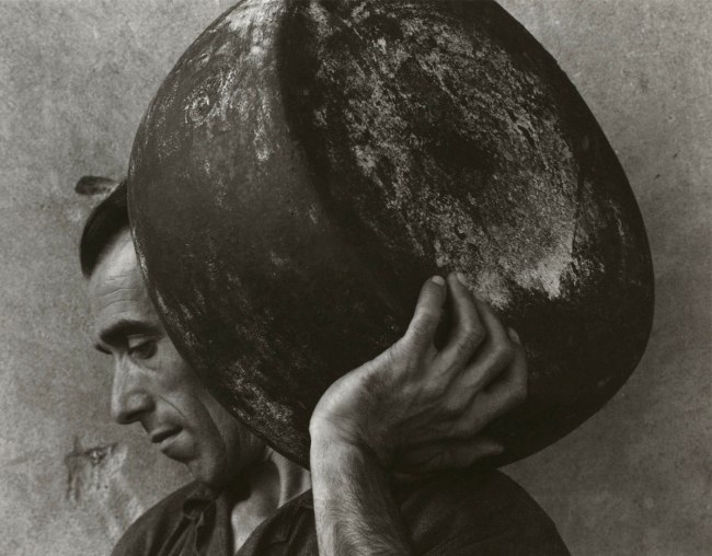 Paul Strand. 'Parmesan, Luzzara ' 1953