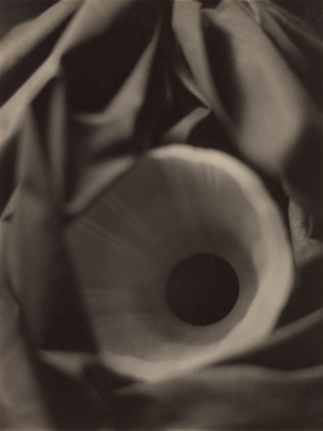 Bernard Shea Horne. 'Untitled' 1916-17