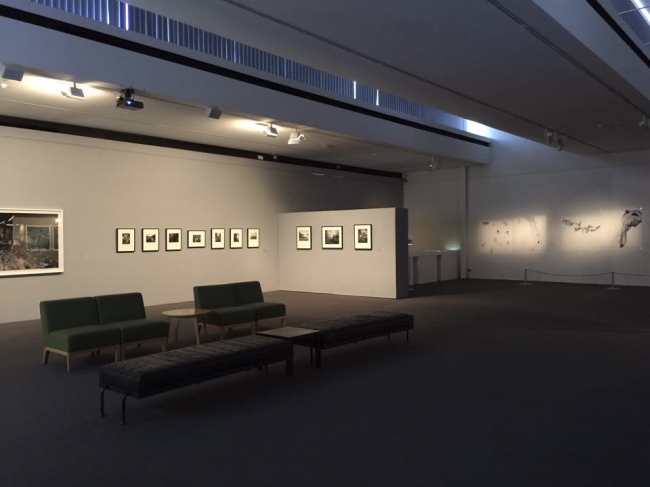 Installation photograph of 'Earth Matters' at the Monash Gallery of Art, Melbourne