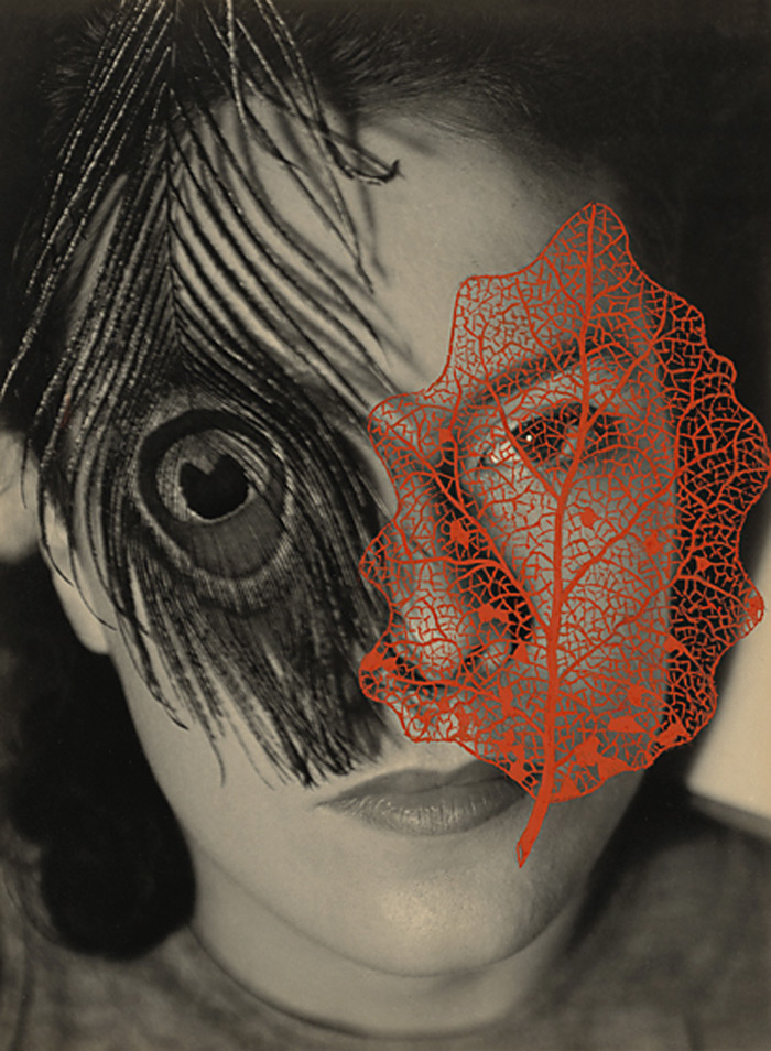 György Kepes. 'Juliet with Peacock Feather and Red Leaf' 1937-1938