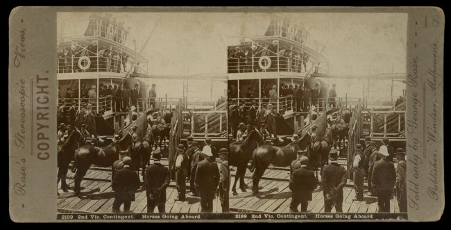 Rose's Stereoscopic Views. '2nd Victorian Contingent. Horses Going Aboard.' Melbourne, Boer War, 1899-1900