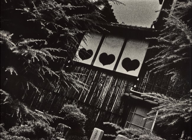 Ishiuchi Miyako. 'Endless Night #2' 1978–1980