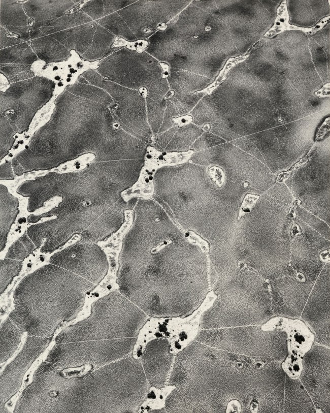 William Garnett (American, 1916-2006) 'Animal Tracks on Dry Lake' 1955