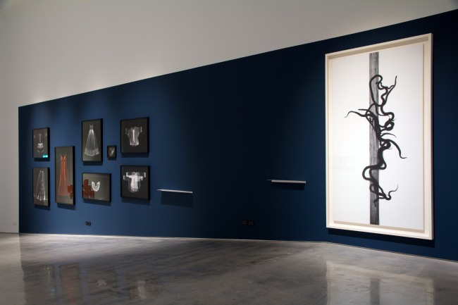 Installation view of the exhibition 'Emanations: The Art of the Cameraless Photograph' at the Govett-Brewster Art Gallery with, at left, work by Anne Ferran and, at right, Adam Fuss