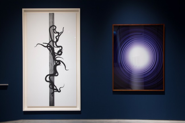 installation view of Adam Fuss (UK/Australia/US) ‘Caduceus’ 2010 (left) and ‘Untitled’ 1991 (right)