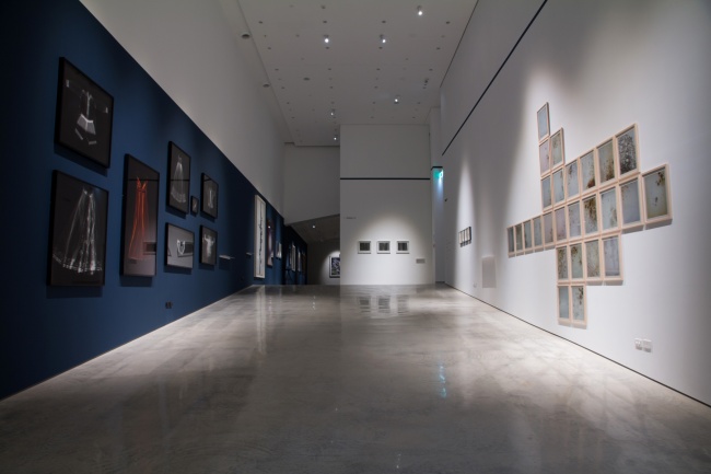 Installation view of the exhibition 'Emanations: The Art of the Cameraless Photograph' at the Govett-Brewster Art Gallery with at left, works by Anne Ferran and at right, Joyce Campbell