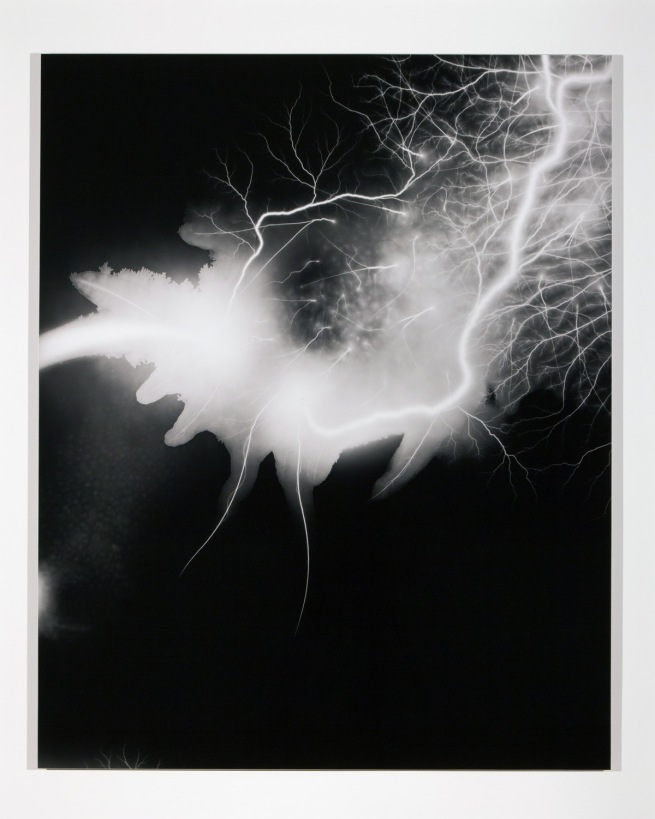 Hiroshi Sugimoto (Japon / États-Unis) 'Lightning Fields 168' 2009