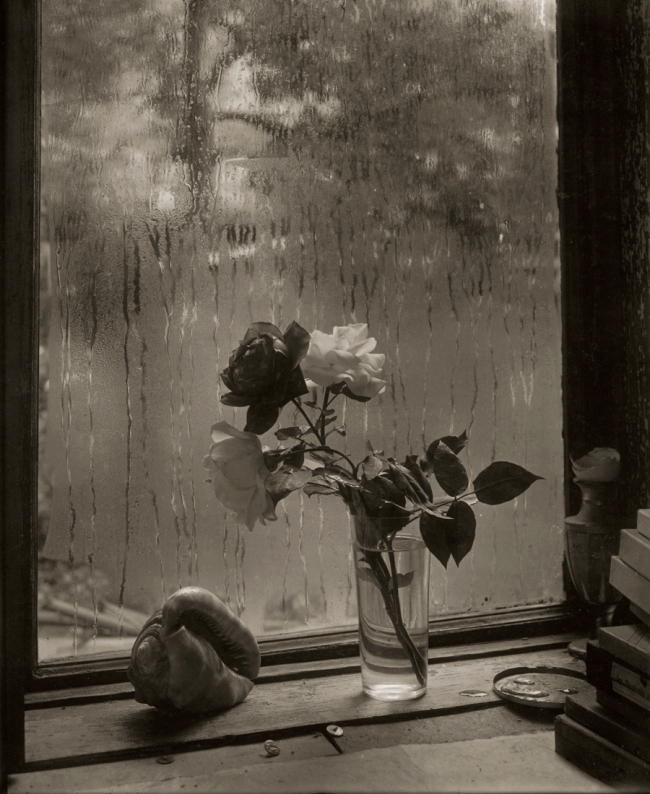 Josef Sudek (Czech, 1896-1976) 'La Dernière Rose' [The Last Rose] 1956