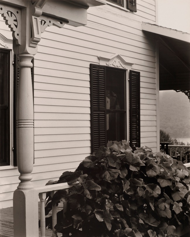 Alfred Stieglitz (American, 1864-1946) 'House and Grape Leaves' 1934