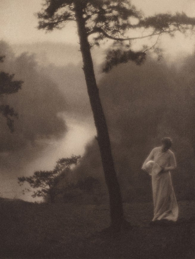 Clarence H. White (American, 1871-1925) 'Morning' 1905