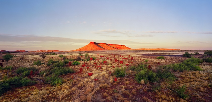 Rosemary Laing (Australian, b. 1959) 'brumby mound #6' 2003