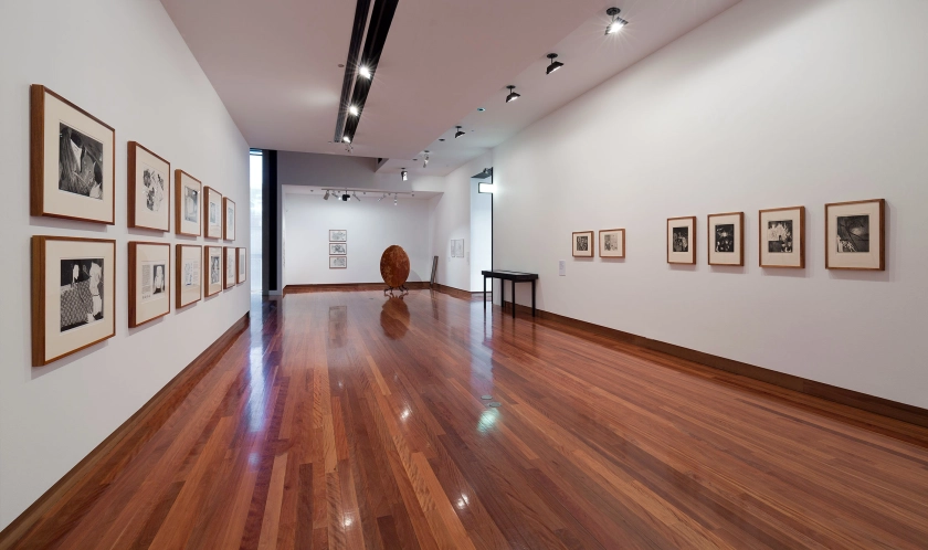 Installation view of the exhibition 'All the better to see you with: Fairy tales transformed' at The Ian Potter Museum of Art, Melbourne showing the work of Peter Ellis left and Mirando Haz (Amedeo Pieragostini) right