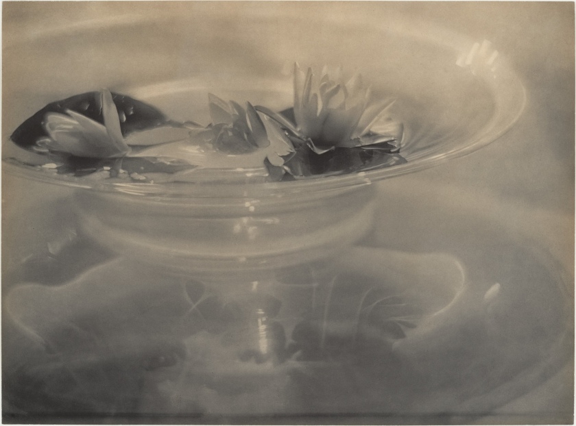 Adolf de Meyer (American born France, 1868-1946) 'Water Lilies' c. 1906, printed 1912