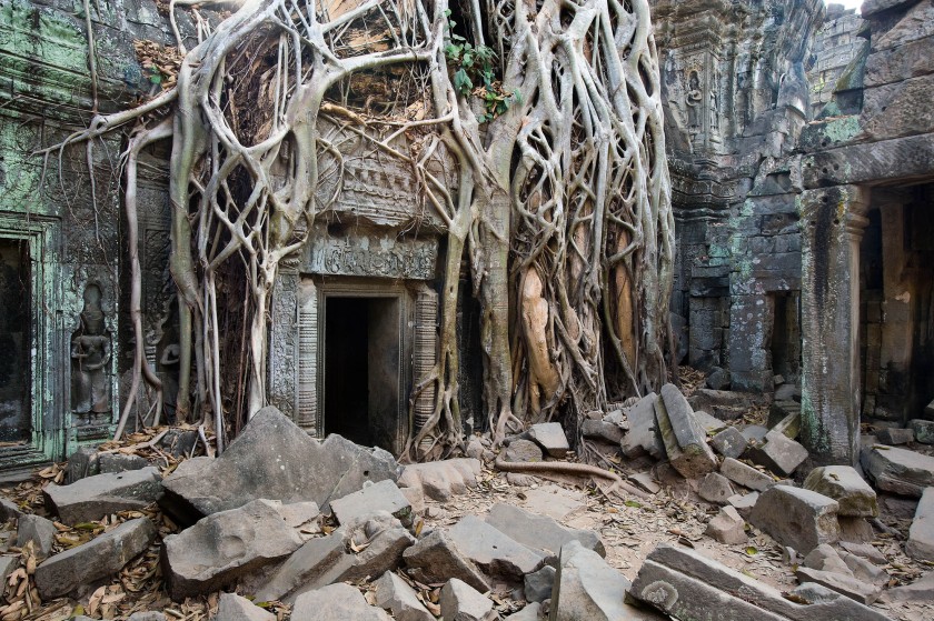 John Gollings (Australian, b. 1944) 'Ta Prohm Temple, Angkor Thom, Cambodia' 2007