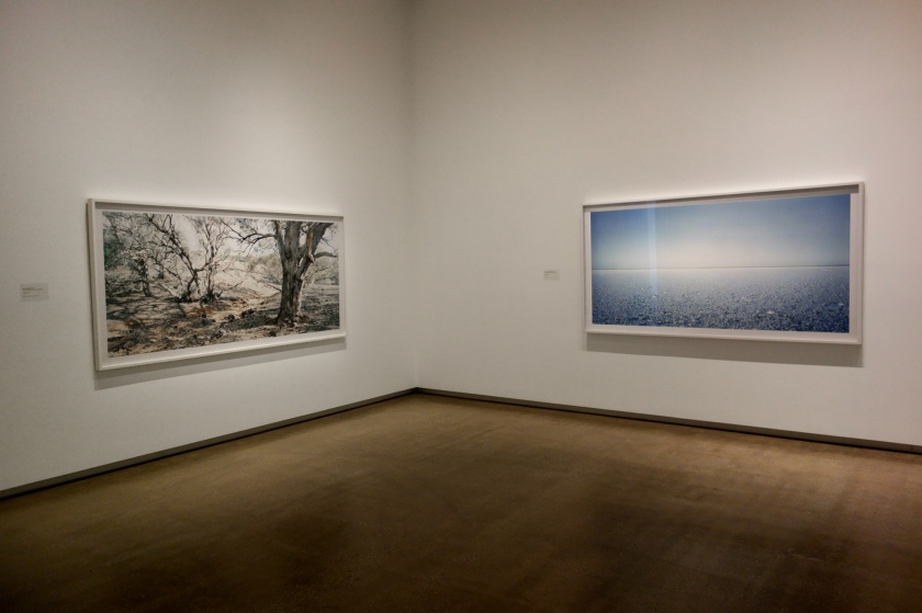 Installation view of the exhibition 'Rosemary Laing' at the TarraWarra Museum of Art featuring the works 'after Heysen' (2004) at left, and 'to walk on a sea of salt' (2004) at right, from the series 'to walk on a sea of salt'