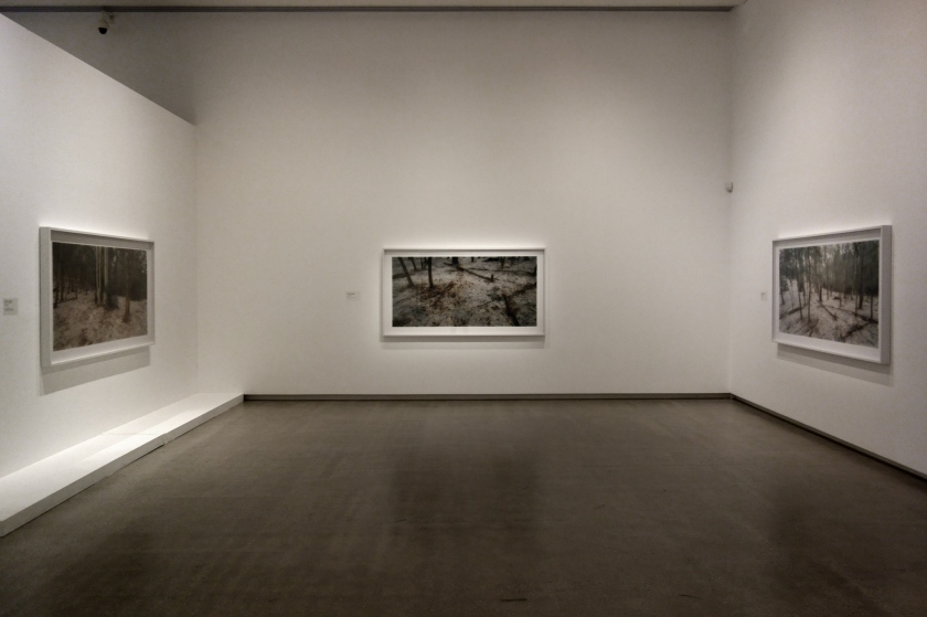 Installation view of the exhibition 'Rosemary Laing' at the TarraWarra Museum of Art featuring works from the series 'The Paper' (2013)