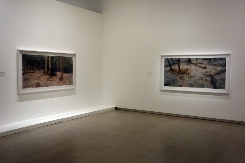 Installation view of the exhibition 'Rosemary Laing' at the TarraWarra Museum of Art featuring works from the series 'The Paper' (2013)