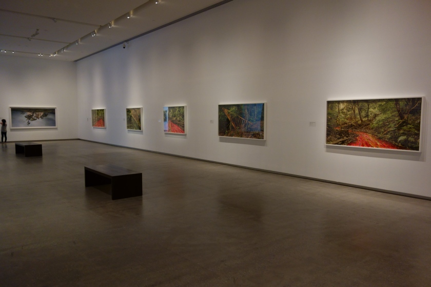Installation view of the exhibition 'Rosemary Laing' at the TarraWarra Museum of Art