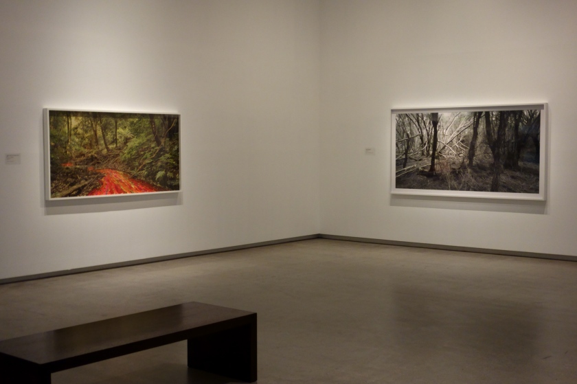 Installation view of the exhibition 'Rosemary Laing' at the TarraWarra Museum of Art showing 'The Flowering of the Strange Orchid' (2017) left, from the series 'Buddens', and at right 'weather (Eden) #2' from the series 'weather'