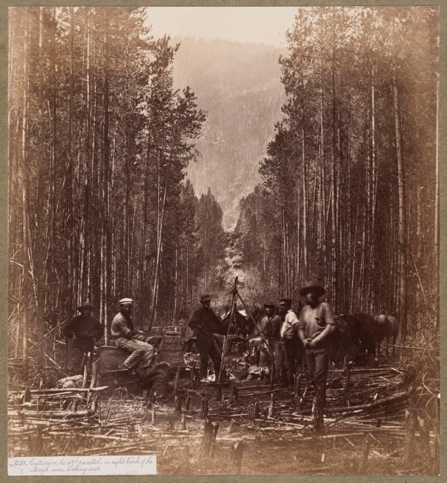 Royal Engineers. 'Cutting on the 49th Parallel, on the Right Bank of the Mooyie River Looking West' about 1860