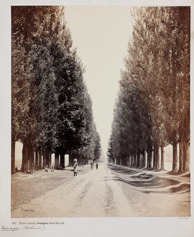 Samuel Bourne (British, 1834-1912) 'Poplar Avenue, Srinuggur, Kashmir, from the end' 1864