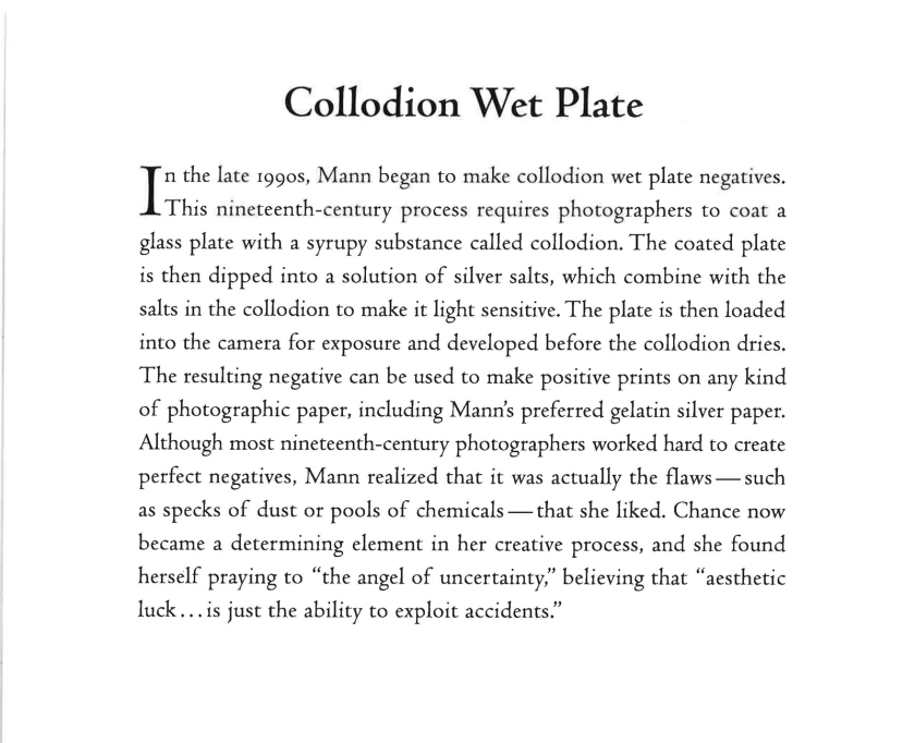 Sally Mann 'Collodion Wet Plate' wall text