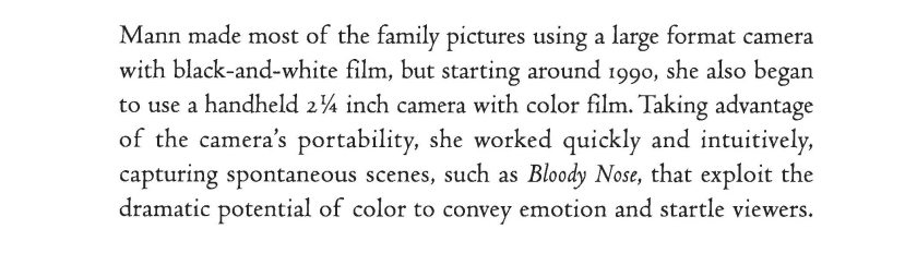 Sally Mann 'Bloody nose' wall text