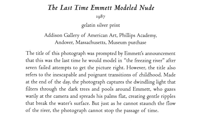 Sally Mann 'The Last Time Emmett Modeled Nude' wall text