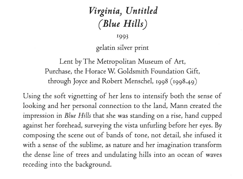 Sally Mann 'Virginia, Untitled (Blue Hills)' wall text