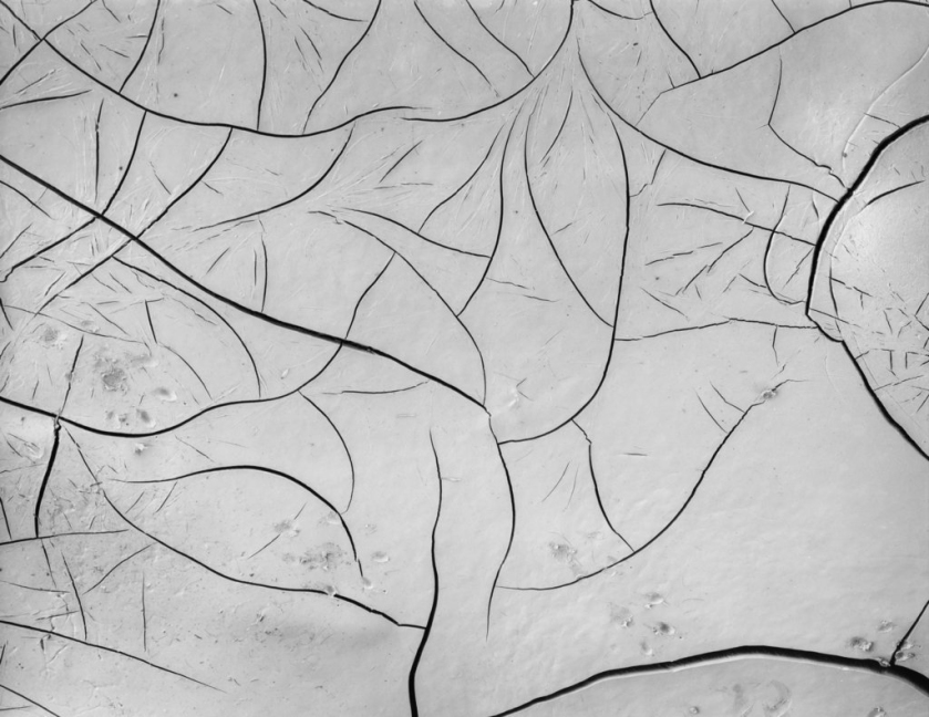 Brett Weston (American, 1911-1993) 'Mud Cracks' 1955