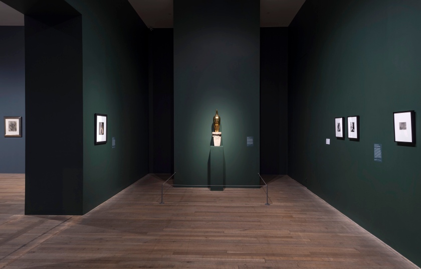 Installation view of the exhibition 'Shape of Light: 100 Years of Photography and Abstract Art' at Tate Modern, London showing at centre, Constantin Brancusi's bronze and stone sculpture 'Maiastra' (1911)