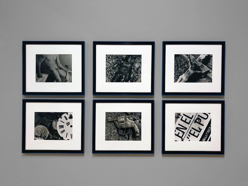 Installation view of 'David Wojnarowicz: History Keeps Me Awake at Night' at the Whitney Museum of American Art showing some of the 'Ant' series