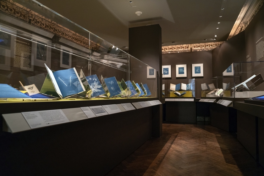 Installation view of the exhibition 'Blue Prints: The Pioneering Photographs of Anna Atkins' at The New York Public Library