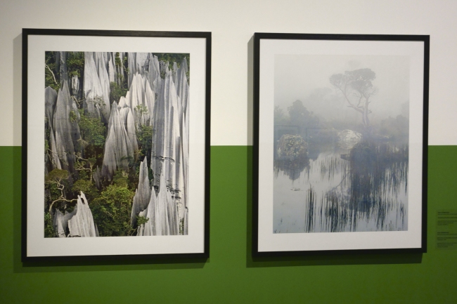 Installation view of the exhibition 'Dombrovskis: journeys into the wild' at Monash Gallery of Art, Wheelers Hill