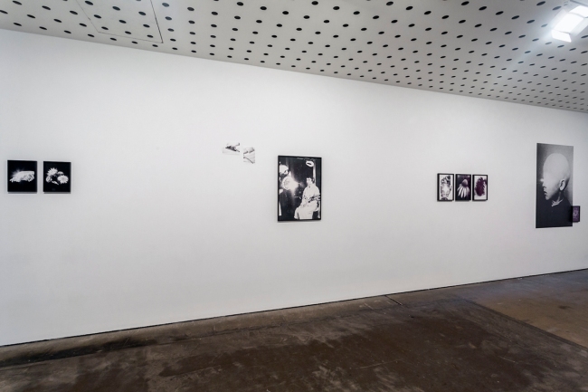 Installation view of the exhibition ‘Sophie Gabrielle: Worry For The Fruit The Birds Won’t Eat’ at the Centre for Contemporary Photography, Melbourne