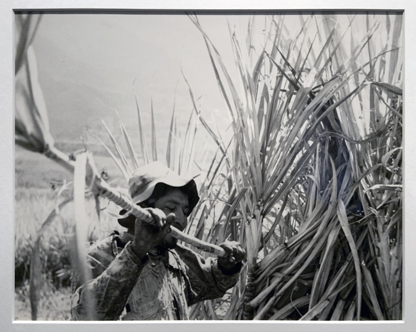Robert Frank (Swiss-American, 1924-2019) 'Peru' 1948 (installation view)