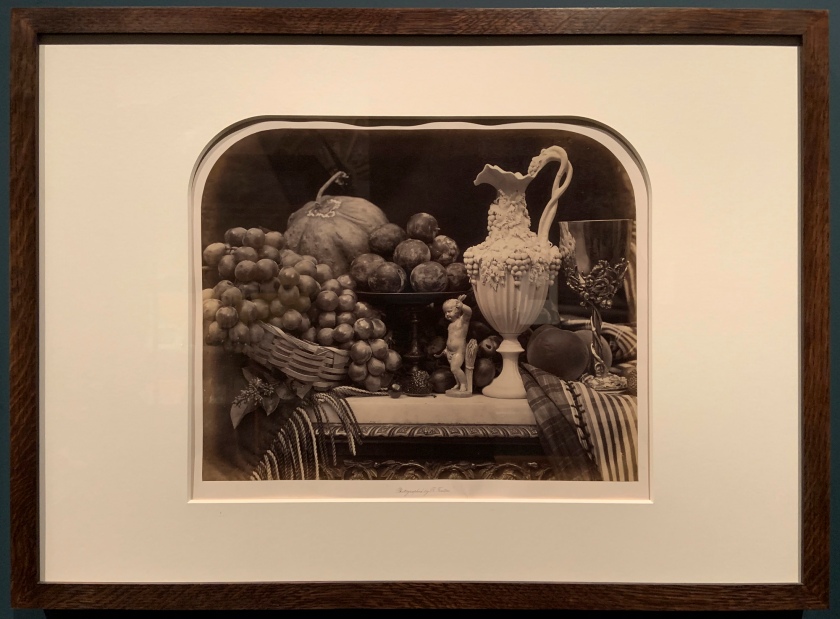 Roger Fenton (British, 1819-1869) 'Parian Vase, Grapes and Silver Cup' 1860 (installation view)
