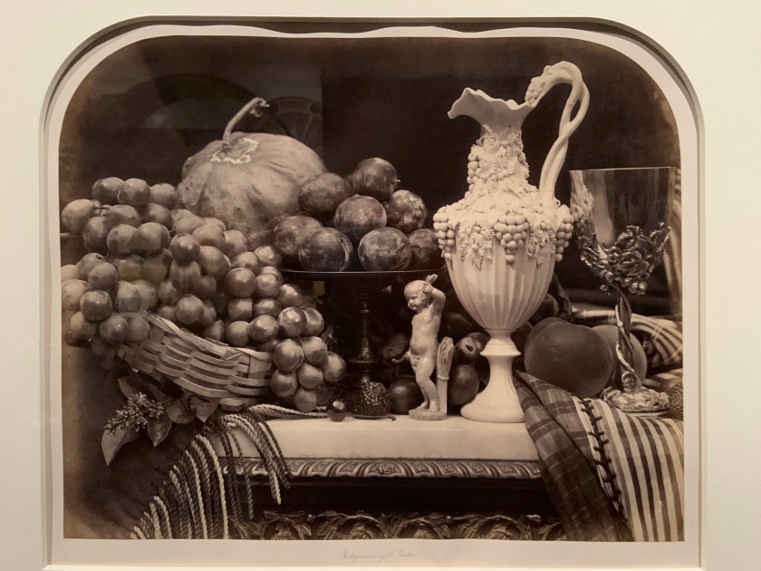 Roger Fenton (British, 1819-1869) 'Parian Vase, Grapes and Silver Cup' 1860 (installation view)